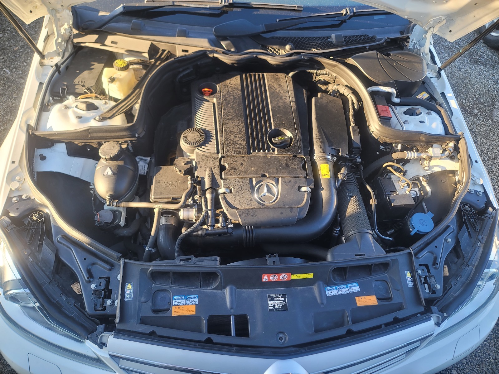 2012 MERCEDES-BENZ C-CLASS WDD-204248