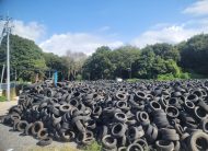 MIX ALL SIZE TIRES GOOD