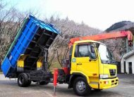 02-2007 NISSAN CRANE DUMP
