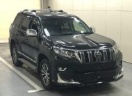 10-2018 TOYOTA PRADO
