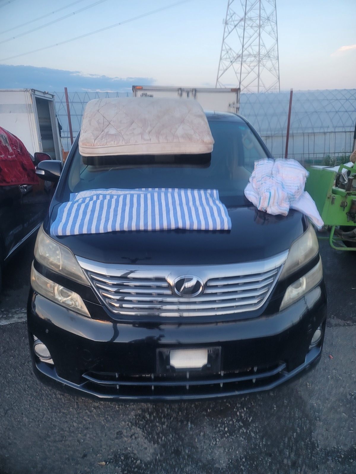 JUNE 2010 TOYOTA VELFIRE
